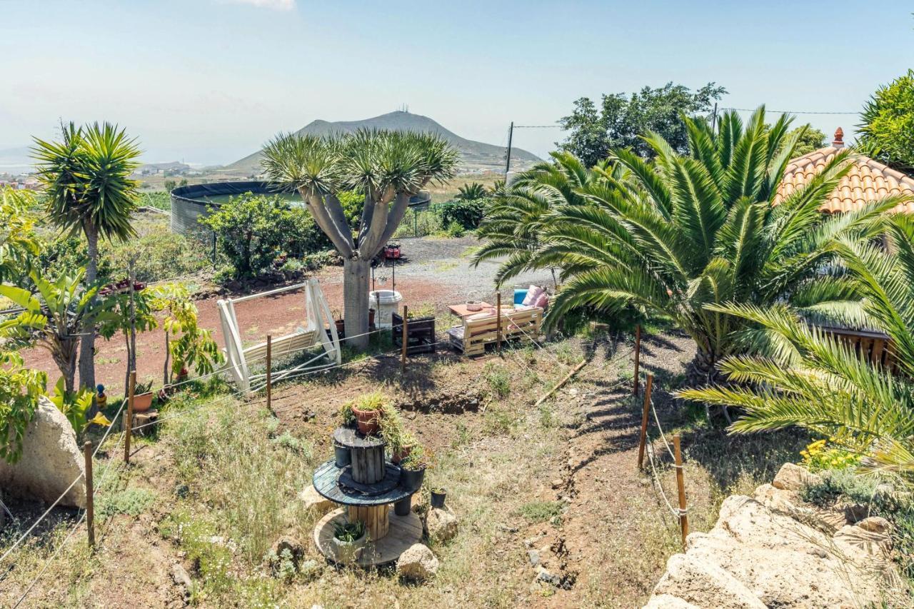 Apartamento B Armonia Rural Granadilla De Abona Εξωτερικό φωτογραφία